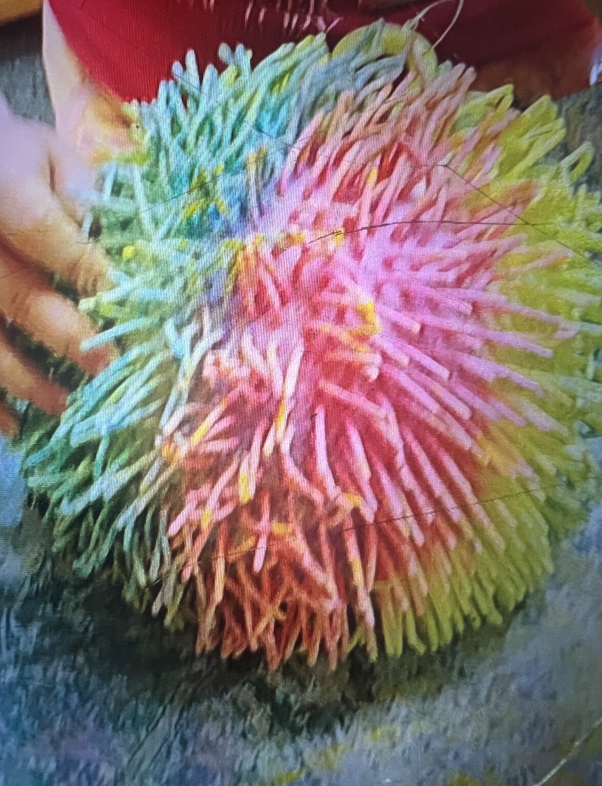 A rainbow-painted textured ball held in a child's hands